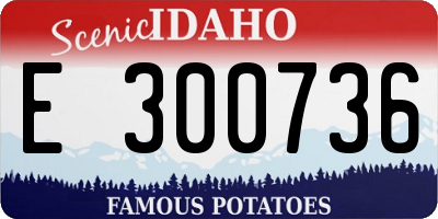 ID license plate E300736