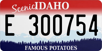 ID license plate E300754