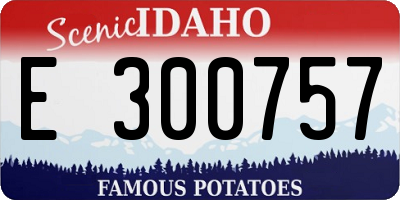 ID license plate E300757
