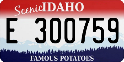 ID license plate E300759