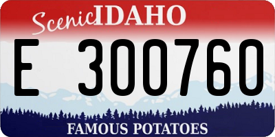 ID license plate E300760