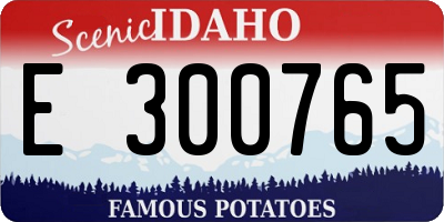 ID license plate E300765