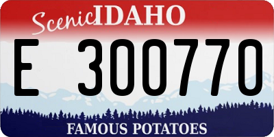 ID license plate E300770