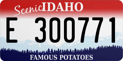 ID license plate E300771