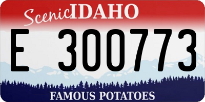 ID license plate E300773