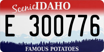 ID license plate E300776