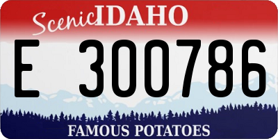 ID license plate E300786