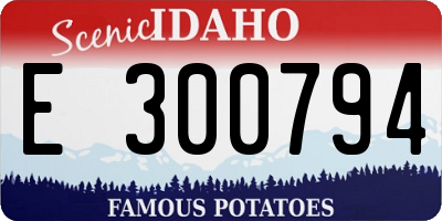 ID license plate E300794