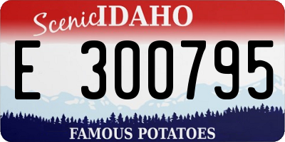 ID license plate E300795