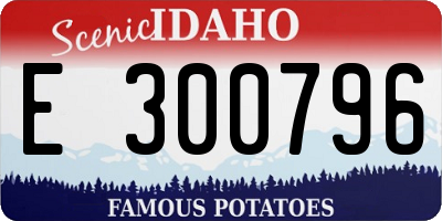 ID license plate E300796
