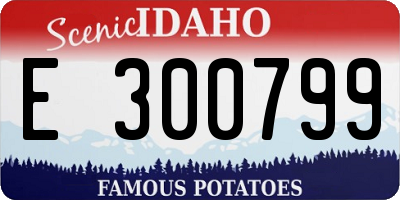ID license plate E300799