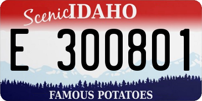 ID license plate E300801