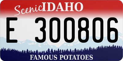 ID license plate E300806