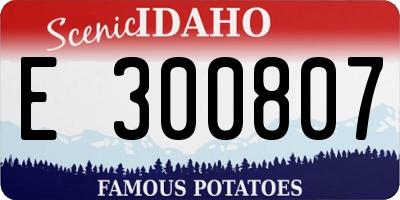 ID license plate E300807