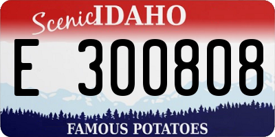 ID license plate E300808