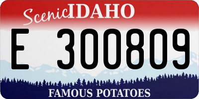 ID license plate E300809