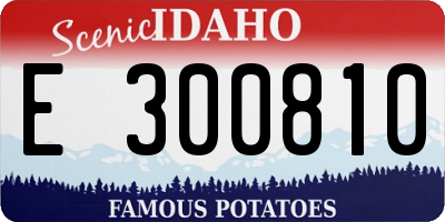 ID license plate E300810