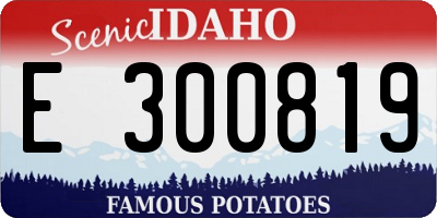 ID license plate E300819