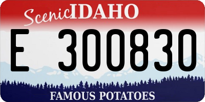 ID license plate E300830