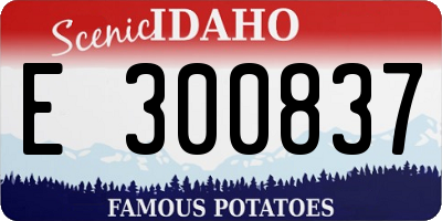 ID license plate E300837