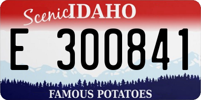 ID license plate E300841