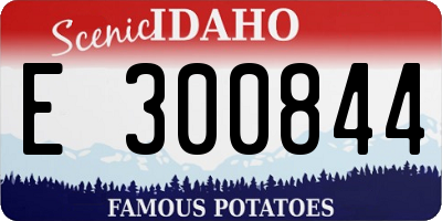ID license plate E300844