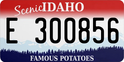 ID license plate E300856