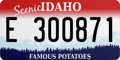 ID license plate E300871
