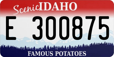 ID license plate E300875