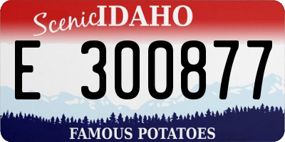 ID license plate E300877