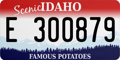 ID license plate E300879