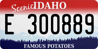ID license plate E300889