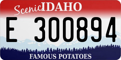 ID license plate E300894