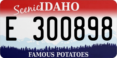 ID license plate E300898