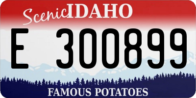 ID license plate E300899