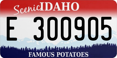 ID license plate E300905