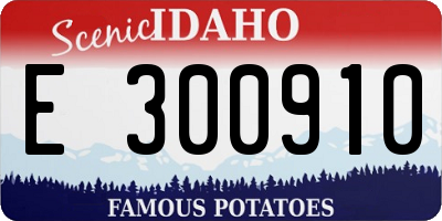 ID license plate E300910