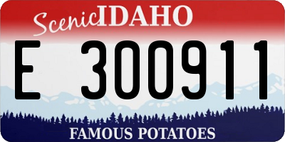 ID license plate E300911