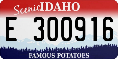 ID license plate E300916