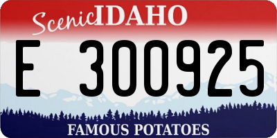 ID license plate E300925