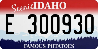 ID license plate E300930