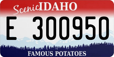 ID license plate E300950