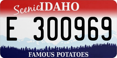 ID license plate E300969