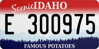 ID license plate E300975