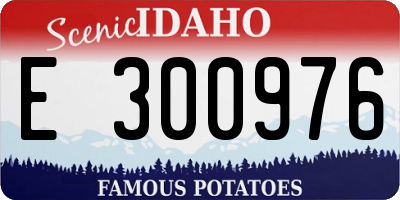 ID license plate E300976