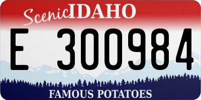 ID license plate E300984