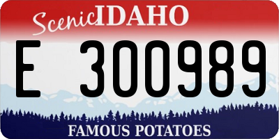 ID license plate E300989