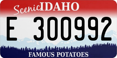 ID license plate E300992