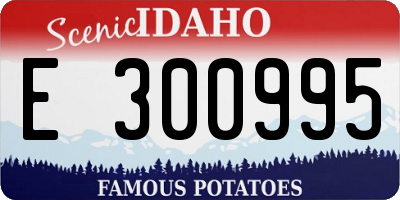 ID license plate E300995