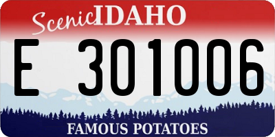 ID license plate E301006